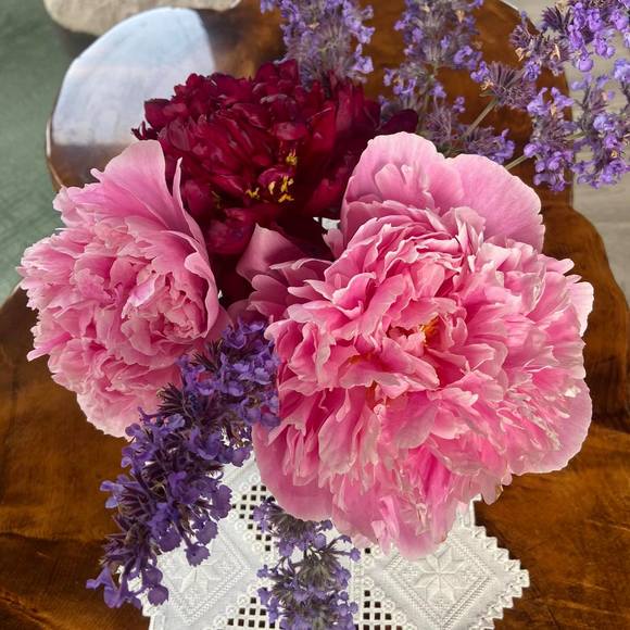 Meet your Posher, Kari - Picture 1 of 1